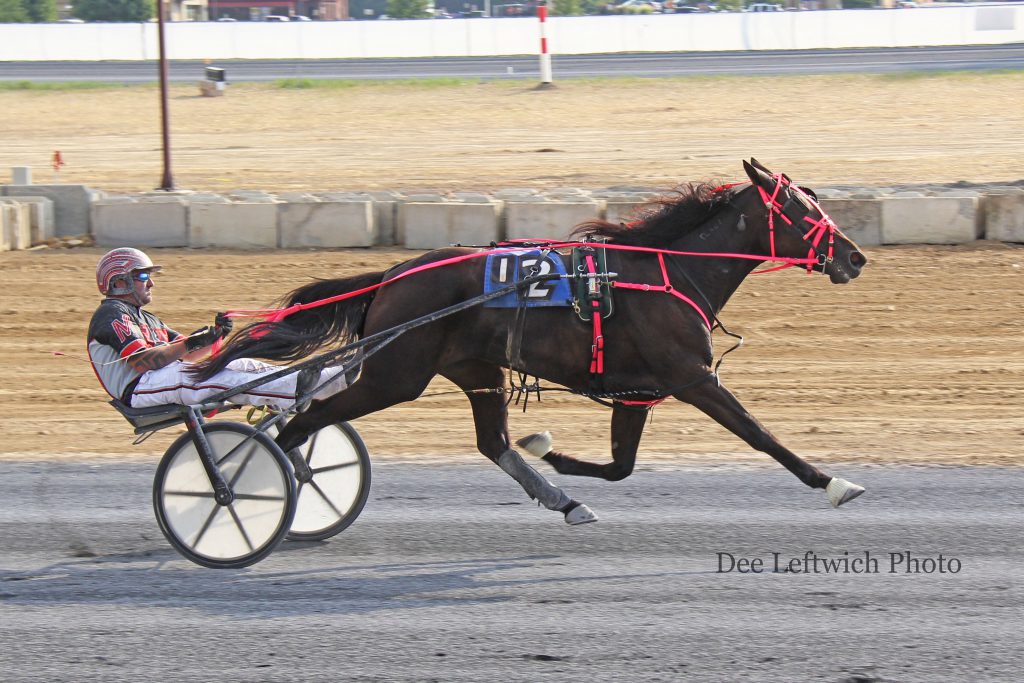 Debbie's Peanut got her first career win at Shenandoah's opening day in the $40,000 3 Year Old Filly Trot.