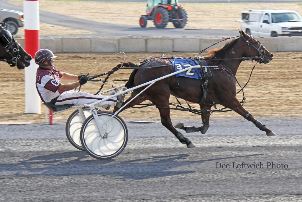 Motel Molly's move in mid-stretch gave owner, trainer and driver Mark Gray a deserved follow up Breeder's win after his filly won the 2 year old title in 2015. Photo by Dee Leftwich.