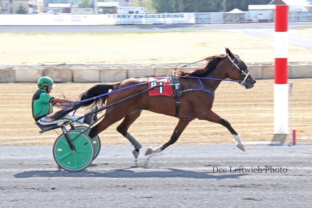 Explosive Muscles earned his 22nd career win Saturday at Shenandoah Downs. Photo courtesy of Dee Leftwich.