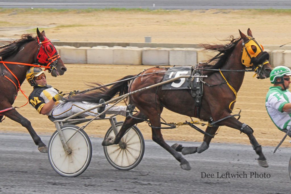 14 year old Expresso Forte won his first race of the year via disqualification Saturday. Photo by Dee Leftwich.