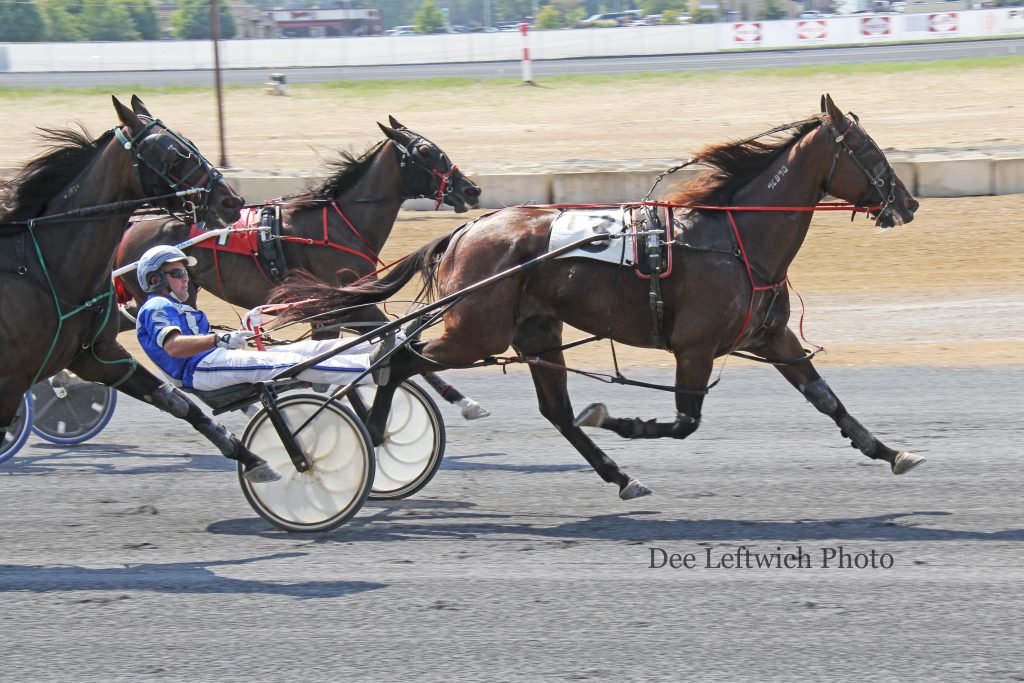Tyler Shehan's first of four driving wins Saturday came aboard Somuchcooleronline. Photo by Dee Leftwich.