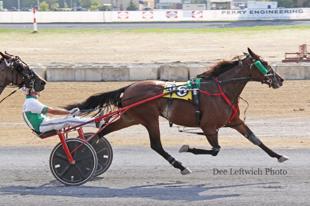 Mistress Valentine captured Saturday's $8,000 featured Open Handicap trot at Shenandoah Downs. photo by Dee Leftwich.