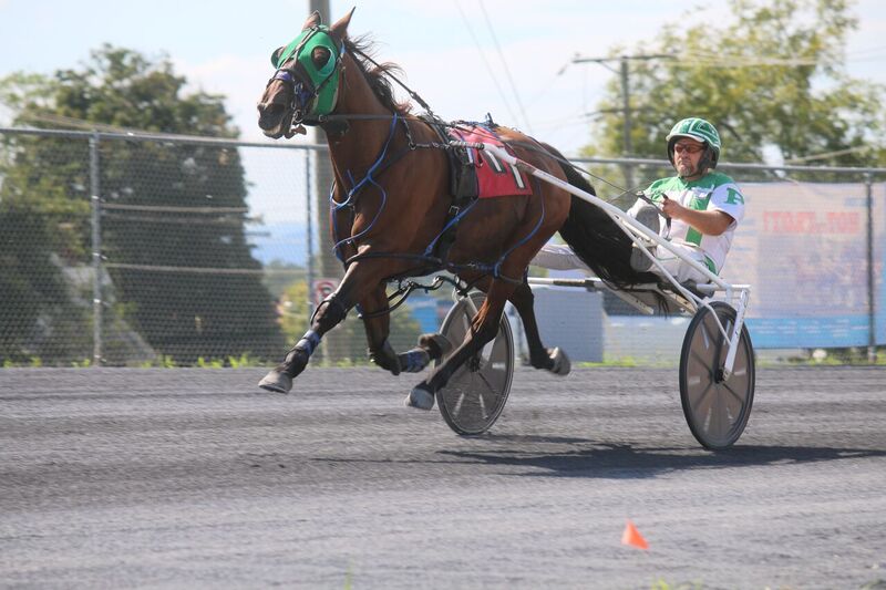 Chuck Perry directs Vertigo Hanover to his first of two wins on Wednesday's County Fair race program Wednesday.