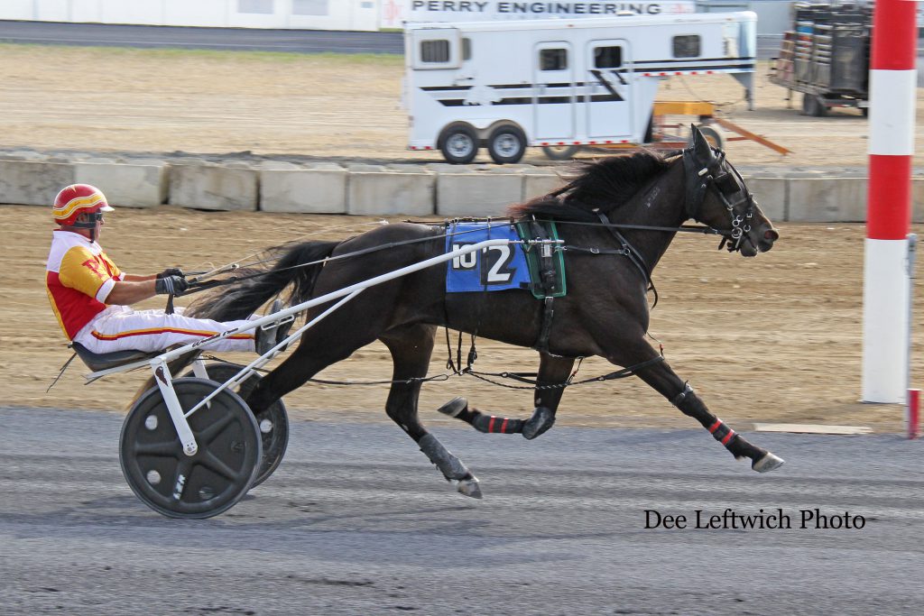 Dusty Fool captured Sunday's $42,050 2 Year Old Colt & Gelding Trot with trainer/driver Carlo Poliseno in the bike. Photo by Dee Leftwich.