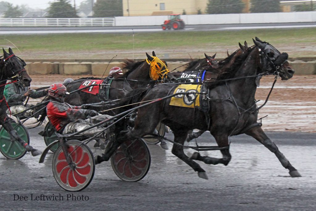 Roger Plante Jr. directs #6 Igotyourcrazy to a come from behind win victory Saturday. Photo by Dee Leftwich.