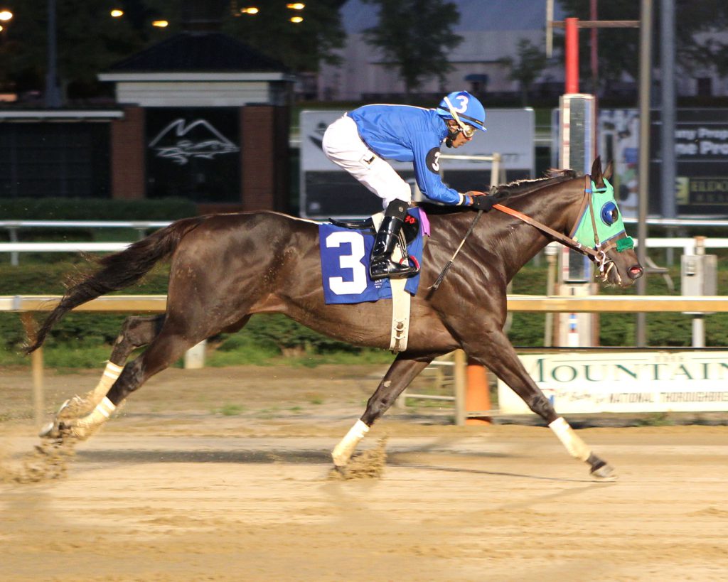 Titan Alexander, bred by Mrs. C. Oliver Iselin, III, will compete in Saturday's $150,000 Maryland Million Classic Stakes. Photo by Coady Photography.
