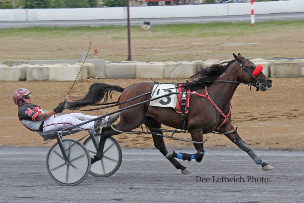 Frank Milby directs B Blissful to his 6th straight win at Woodstock Sunday Oct. 2. Two if the wins came at the Fair meet and 4 during the current fall session. Photo by Dee Leftwich.