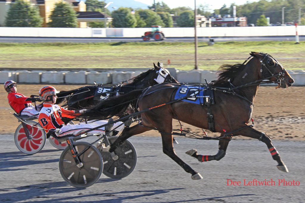 Last Chance Harvey won the meet's final race on October 9th. The Co-Horse of the Meet had 4 victories ands a second place finish. Photo by Dee Leftwich.