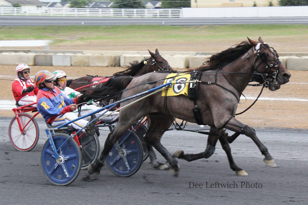 Silver Sierra rebounded from a second place finish in the feature a week ago to win Saturday. Photo by Dee Leftwich.