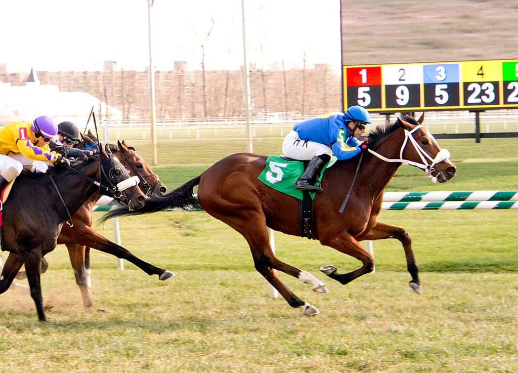 Fly E Dubai beats Papa Pablo by one length in a $33,000 maiden claimer November 27th at Laurel. Photo by Jim McCue.