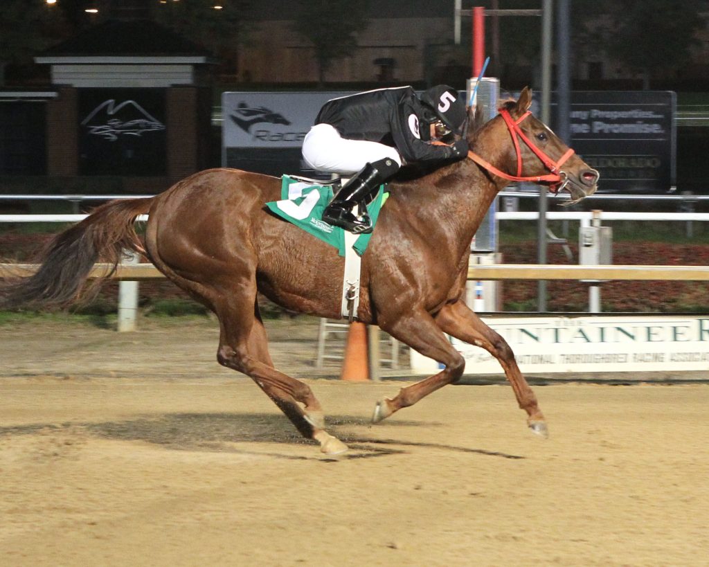 10 year old Fur Lined got to the winner's circle for the first time this year November 13th at Mountaineer. Photo by Coady Photography.