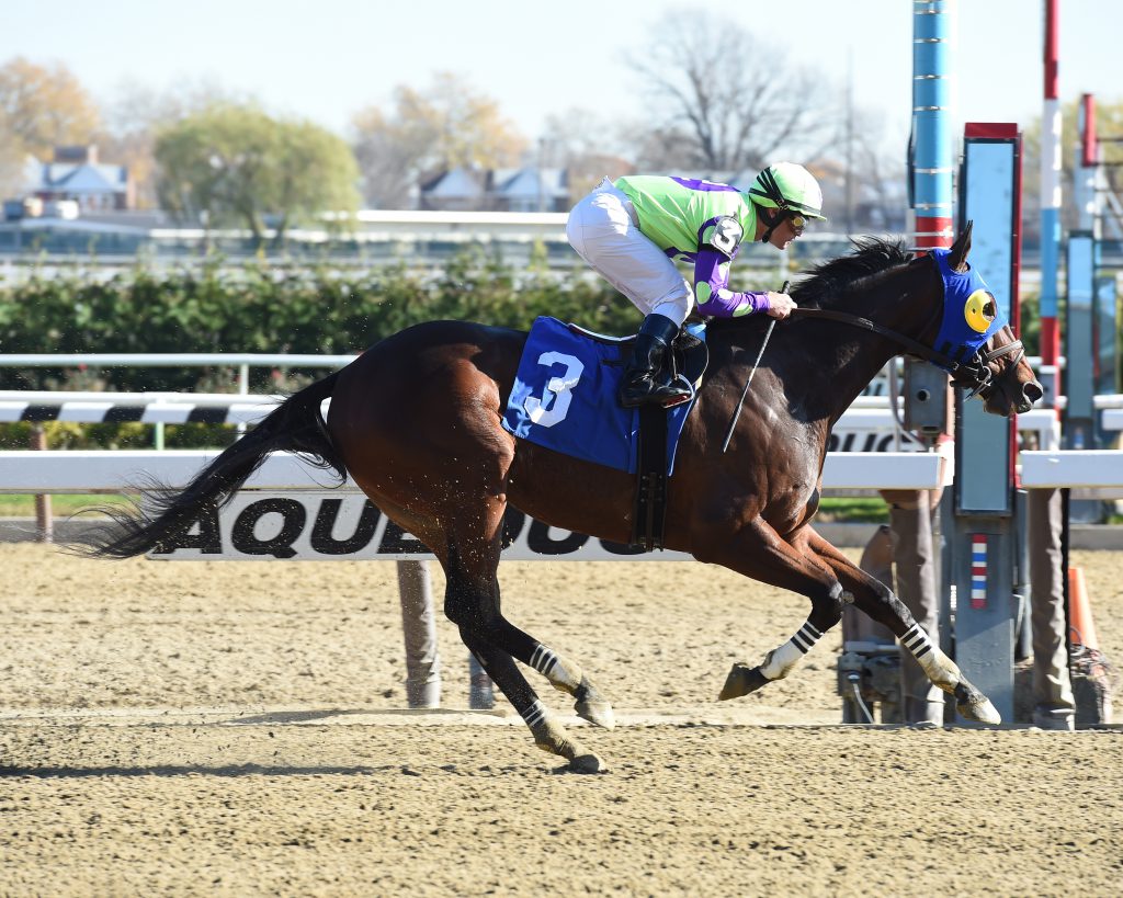 River Date's 10 1/2 length win November 18th at Aqueduct was abnormal among a string of recent tight finishes. Photo by Adam Coglianese. 