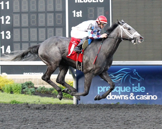 LVR Stable, Inc. earned four VA bred owner's bonuses at Mountaineer in 2016.