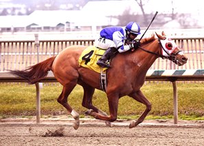 Horacio Karamanos guided Page McKenney to victory Jan. 21st at laurel in the Native Dancer Stakes. Photo by Jim McCue.