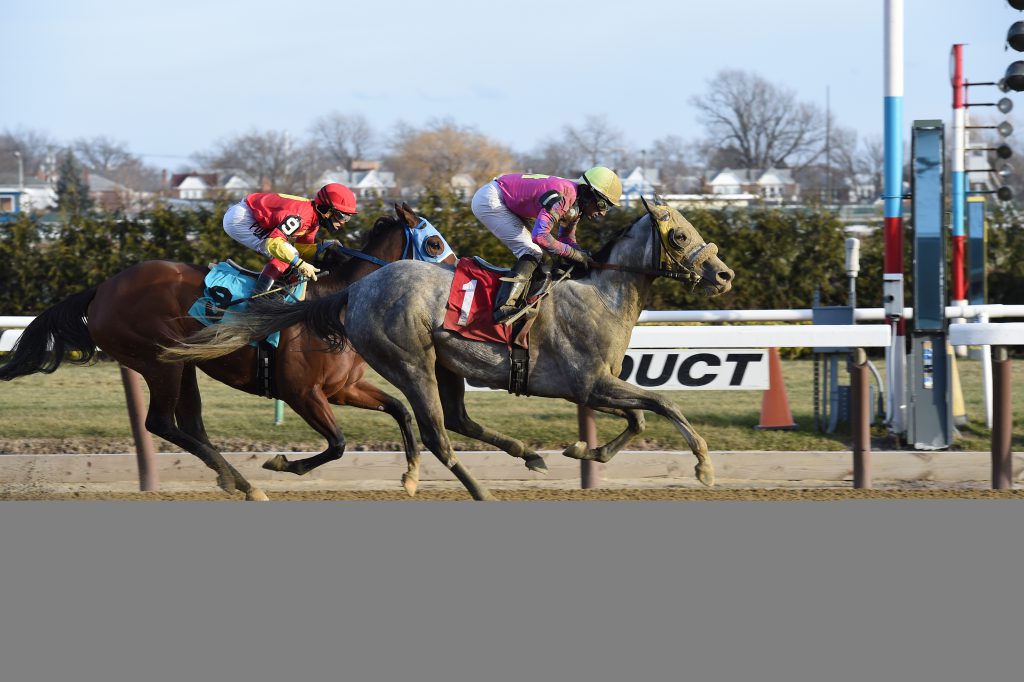 Ring Knocker's win on New Years Eve pushed her bankroll over the $200,000 mark. Photo by Adam Coglianese.