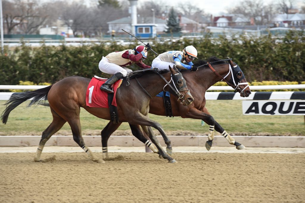 River Date went gate to wire December 30th at Aqueduct in a $58.000 starter race. Photo by Adam Coglianese.