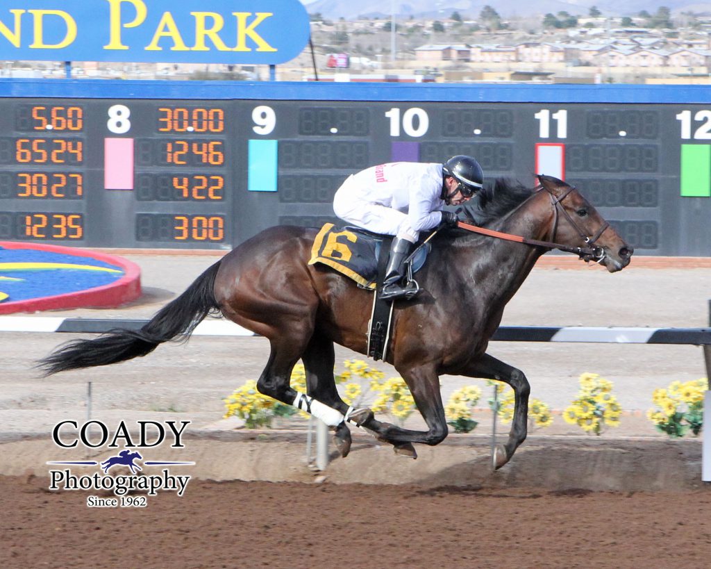 American Dubai, a Derby trail contender in 2016, collected his first win as a 4 year old Feb. 14 at Sunland. Photo courtesy of Coady Photography.