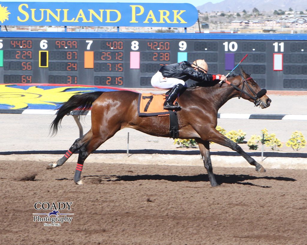 Chas's Legacy picked up his sixth lifetime win Fe. 5th at Sunland Park. Photo courtesy of Coady Photography.