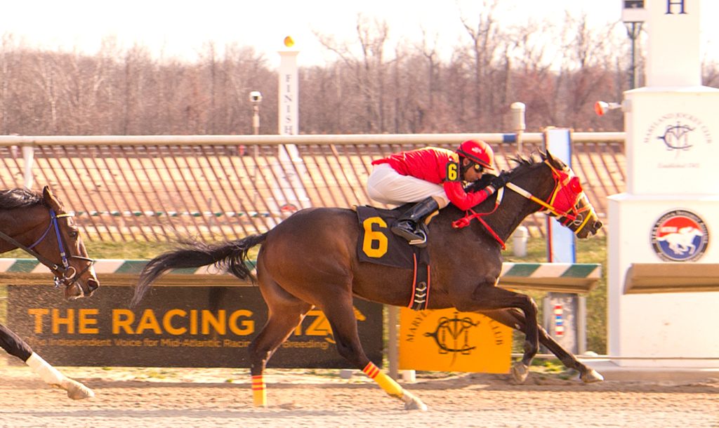 Greek God pushed his bankroll to $142,445 with a win at Laurel Jan. 28. Photo by Jim McCue.