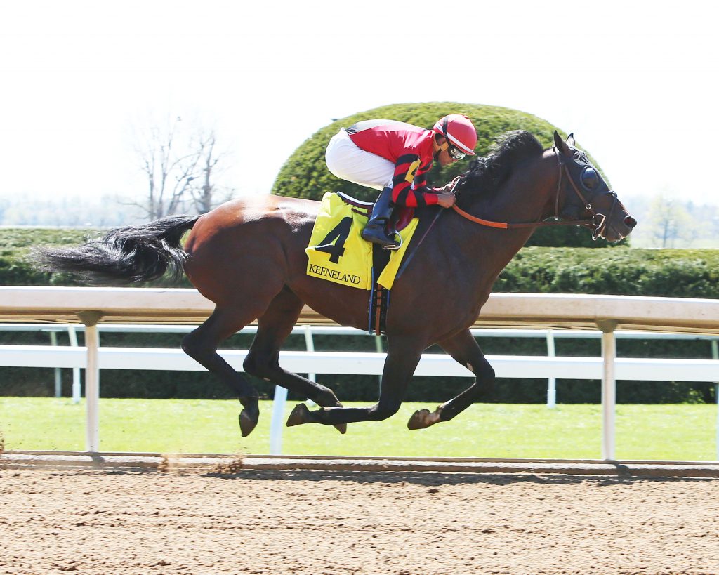 Honorable Duty is shown winning at Keeneland last year. Photo courtesy of Coady Photography.