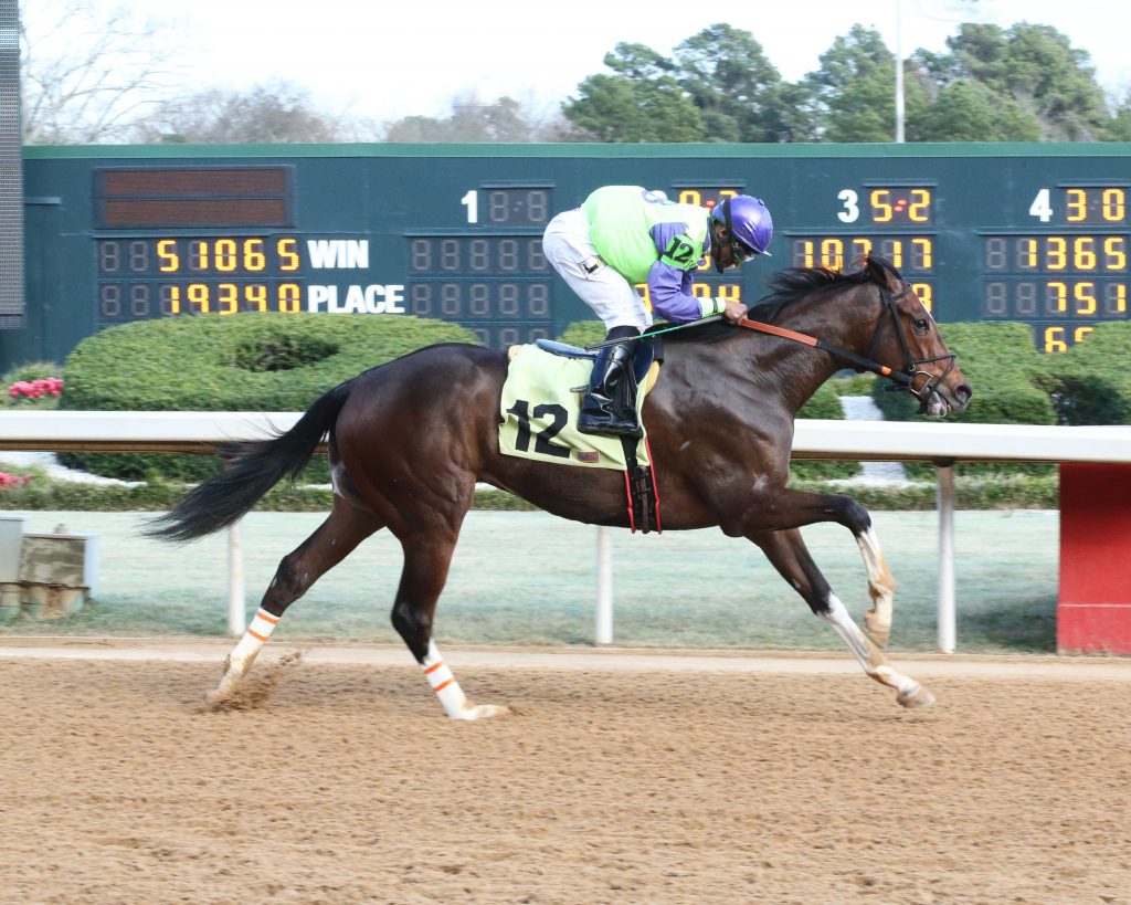 Kody With a K pushed his lifetime bankroll over the $100,000 mark with a win at Oaklawn Feb. 12th. Photo courtesy of Coady Photography.