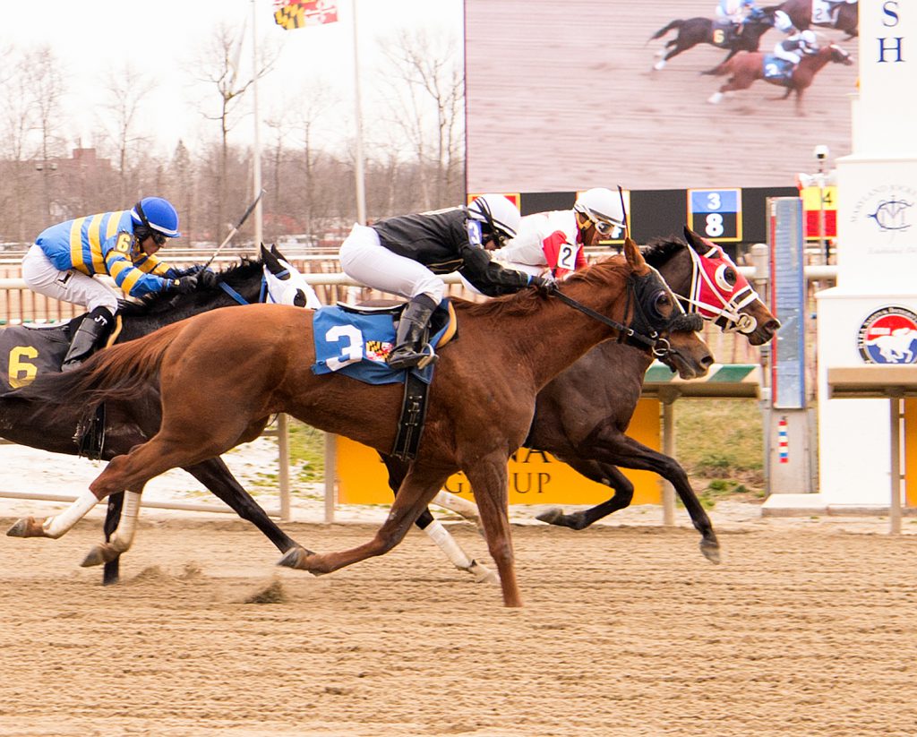 Pardontori'sfrench (outside) just missed at Laurel Park on Super Bowl Sunday. Photo by Jim McCue.