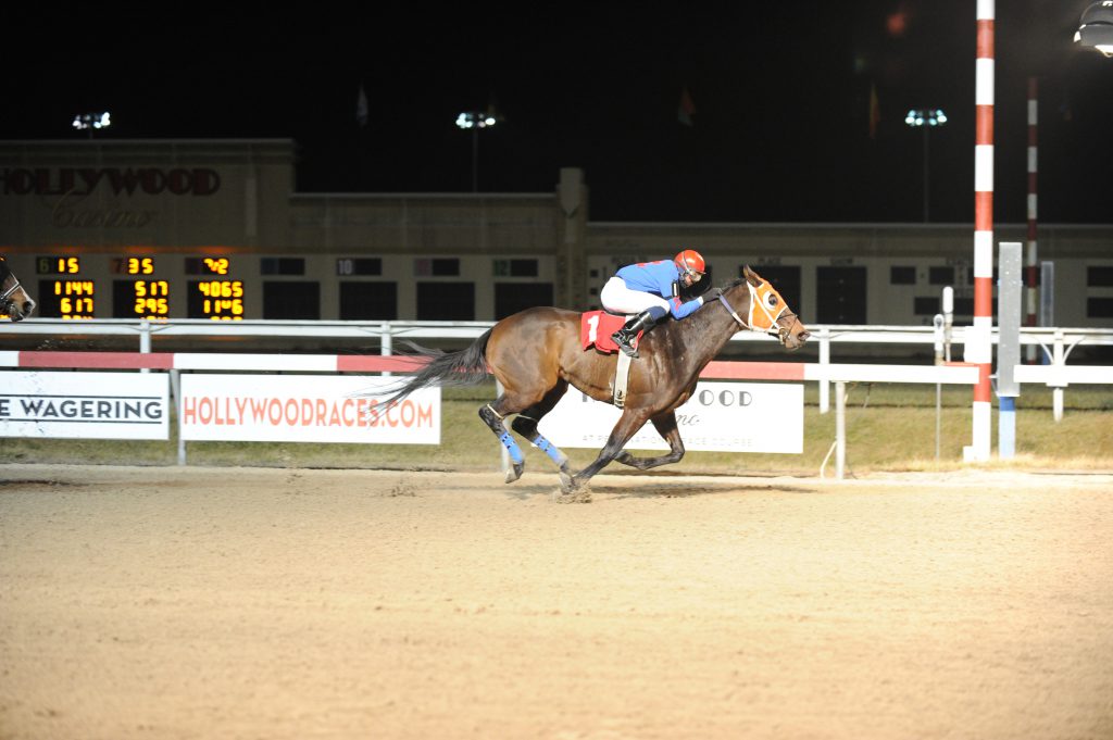 Bird Call completes a gate to wire win at Penn National Jan. 25. Photo by B&D Photography.