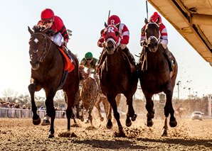 Honorable Duty, owned by Virginian David Ross, won the Grade 3 Mineshaft Handicap at Fair Grounds Feb. 25th. Picture from Hodges Photography.