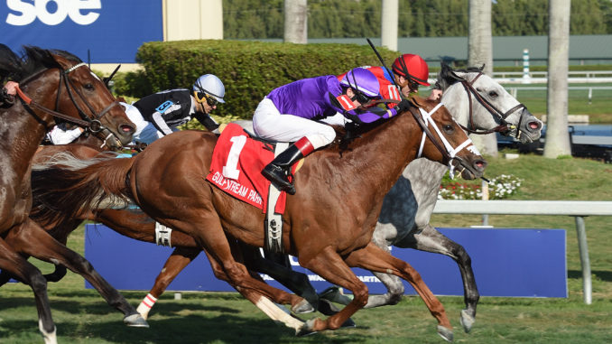 Virginia-bred Long On Value finished third in the $125,000 Gulfstream Park Turf Sprint Stakes Jan. 28. Photo courtesy of Coglianese Photography.