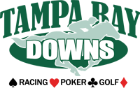 tampa bay downs logo