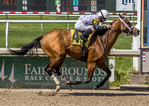 Louise's Legacy was claimed out of a Fair Grounds race for $7500 by Steve Asmussen. Photo courtesy of  Hodges Photography.