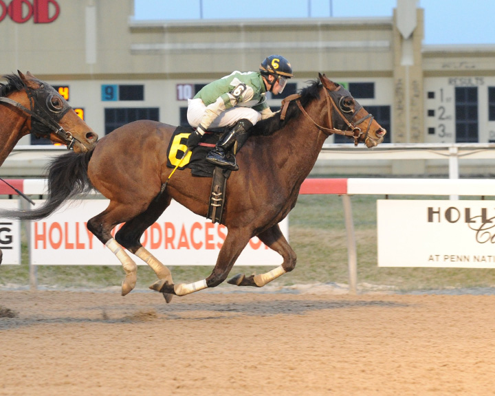 Free Union earned his third career triumph March 25th at Penn National. Photo courtesy of B&D Photography.