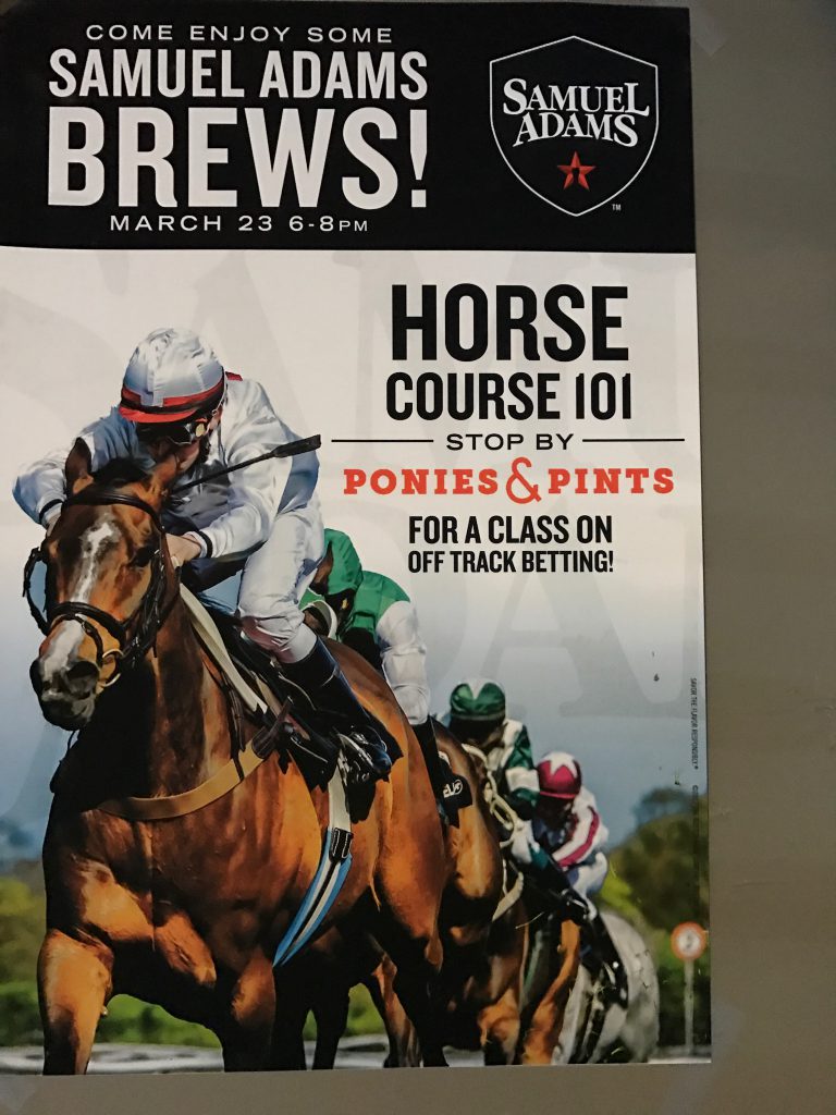 horse course 101