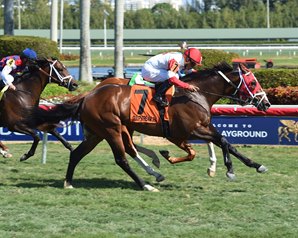 Kittens Cat is early favorite in a wide open field of 12 Saturday at Turfway Park. Photo by Adam Coglianese.
