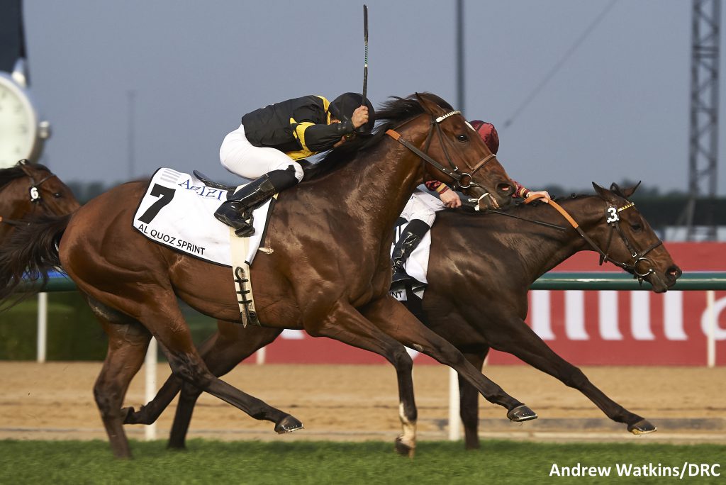 Long On Value finished a close second in the $1 Million Al Quoz Sprint March 25th in Dubai. Photo by Andrew Watkins.