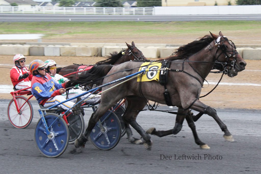 shenandoah downs - silver sierra oct 1