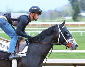 Tapwrit is early 7-5 favorite in Saturday's Bluegrass Stakes at Keeneland. Photo courtesy of Coady Photography.