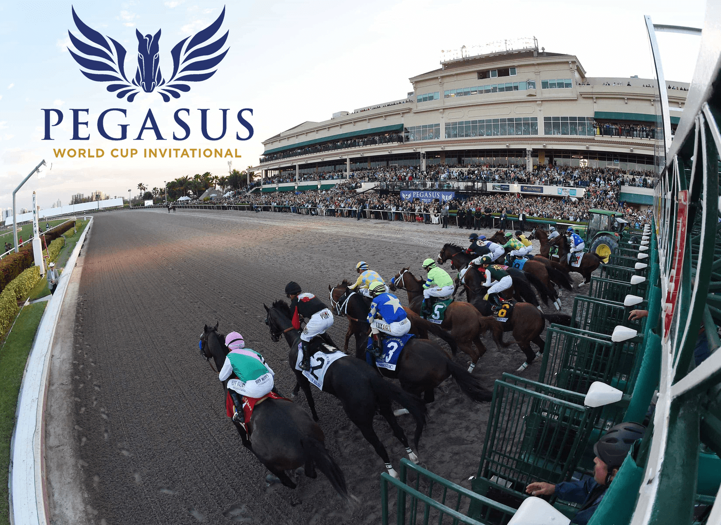 3 Million Pegasus World Cup Invitational Simulcast from Gulfstream