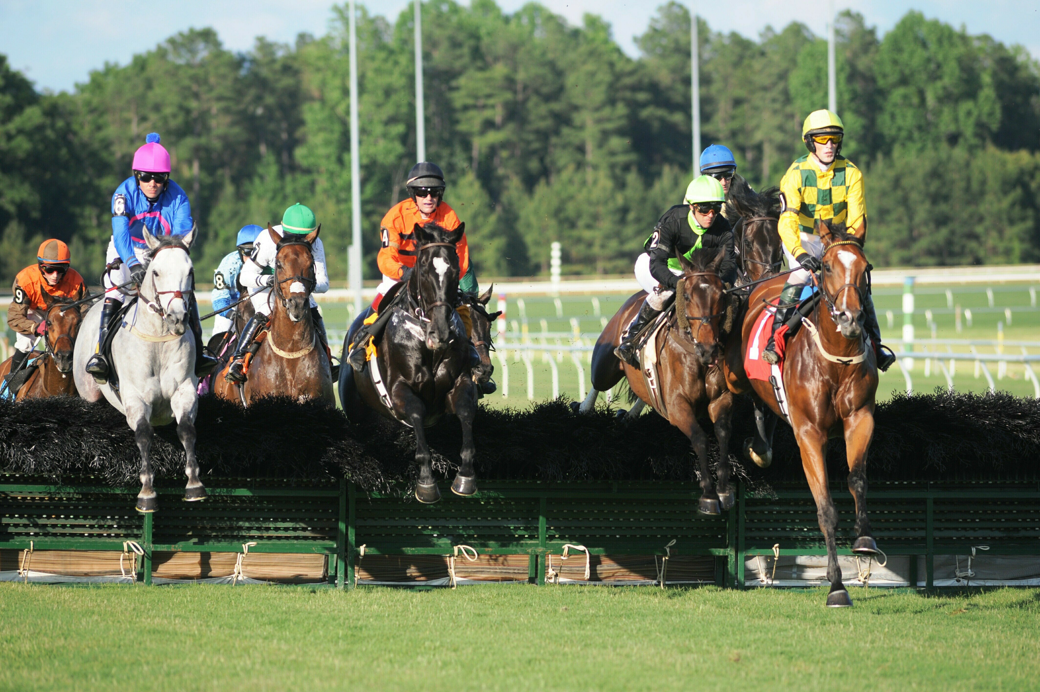 Steeplechase Races at Colonial Downs Virginia Horse Racing