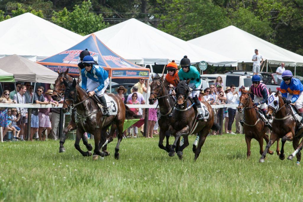 Foxfield Steeplechase Races In Charlottesville Virginia Horse Racing