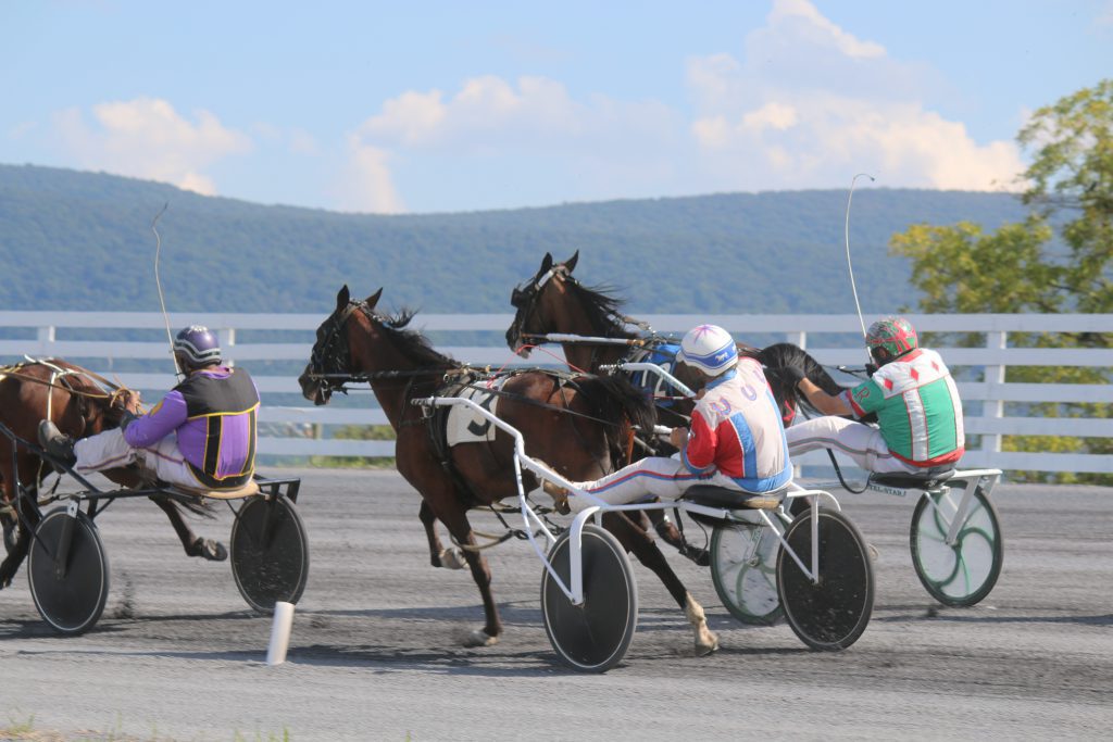 Harness Racing At Virginia’s Shenandoah County Fair Begins Wednesday