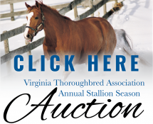 Go to Stallion Auction