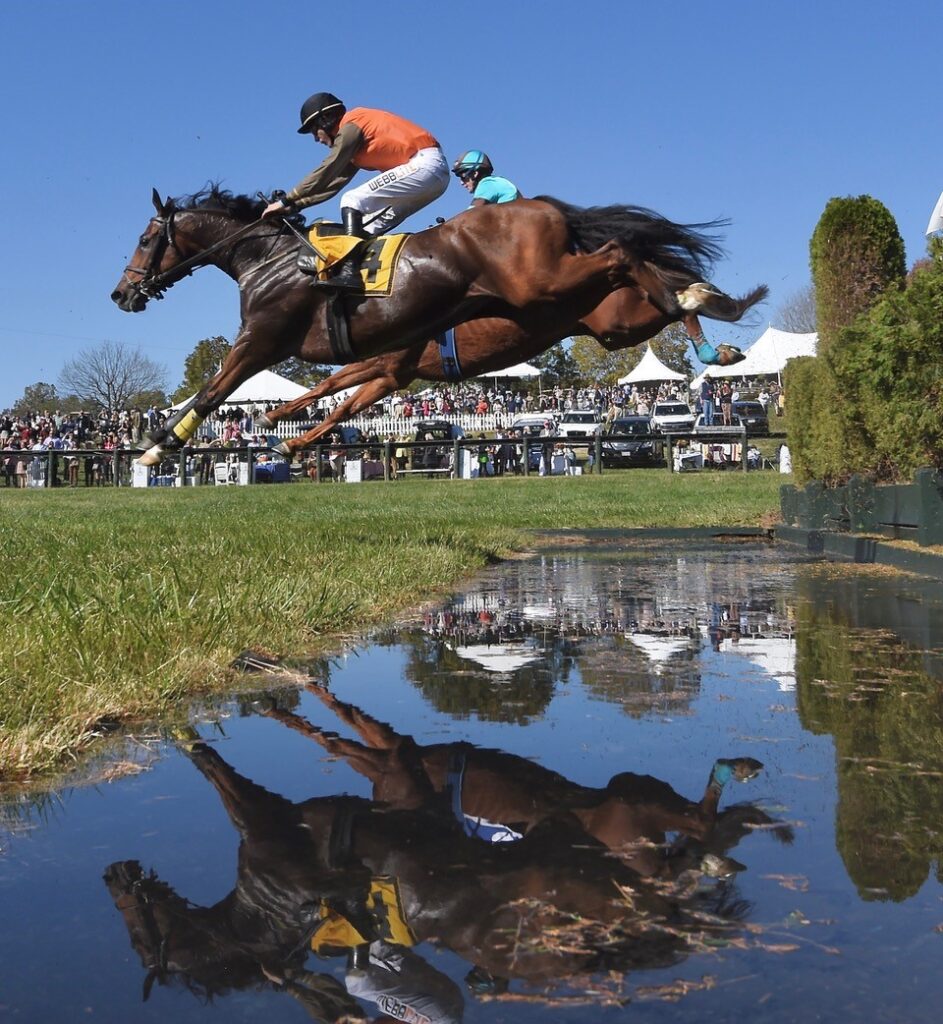 Virginia Steeplechase, PointtoPoint Meet Schedule Announced for 2023