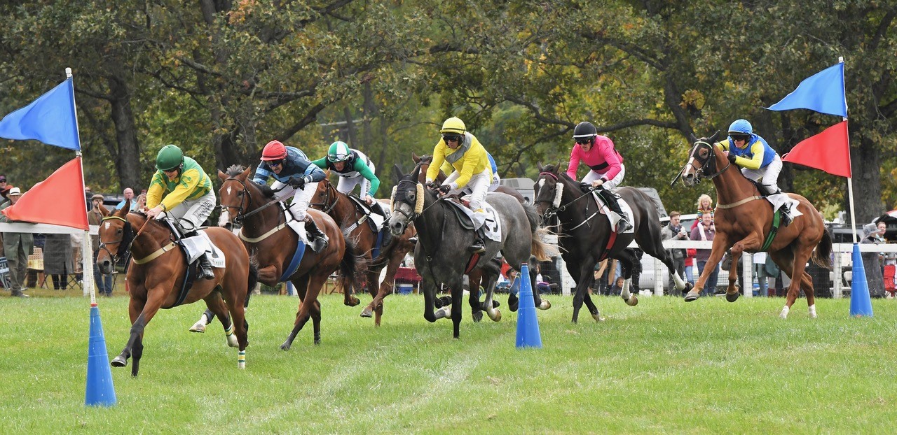 Virginia Steeplechase, PointtoPoint Meet Schedule Announced for 2023