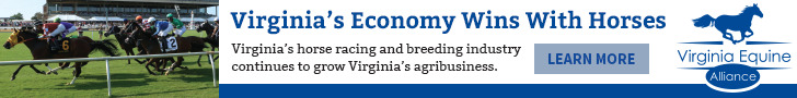 Learn more about the impact of horses on Virginia's economy.