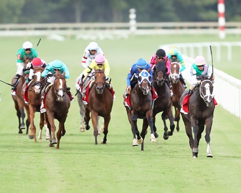 The Evolution of the Race Bike: Jerald Sulky — The Pennsylvania Horse  Racing Association